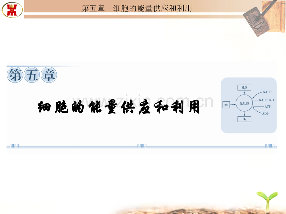 必修一-第五章-第1课时.ppt_第1页