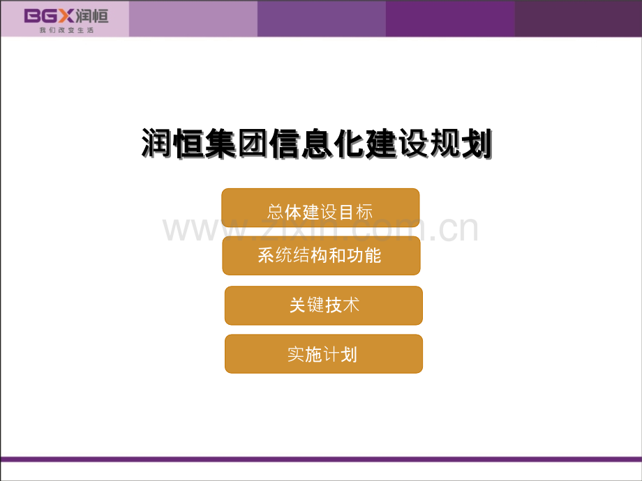 集团信息化建设规划(new).ppt_第2页