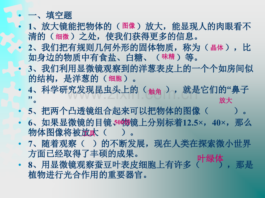 教科版科学六级下册一单元练习题答案.ppt_第1页