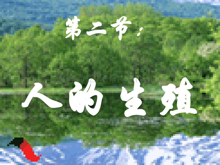 人教版生物学七级下册《人的生殖》课件.ppt_第1页