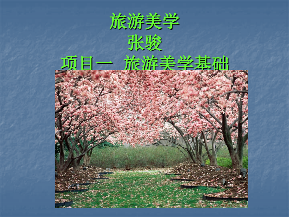 旅游美学.ppt_第1页