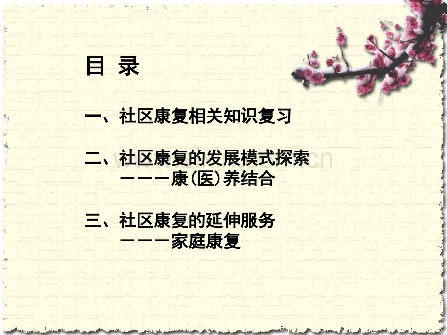 社区康复的发展模式初探.pptx_第2页