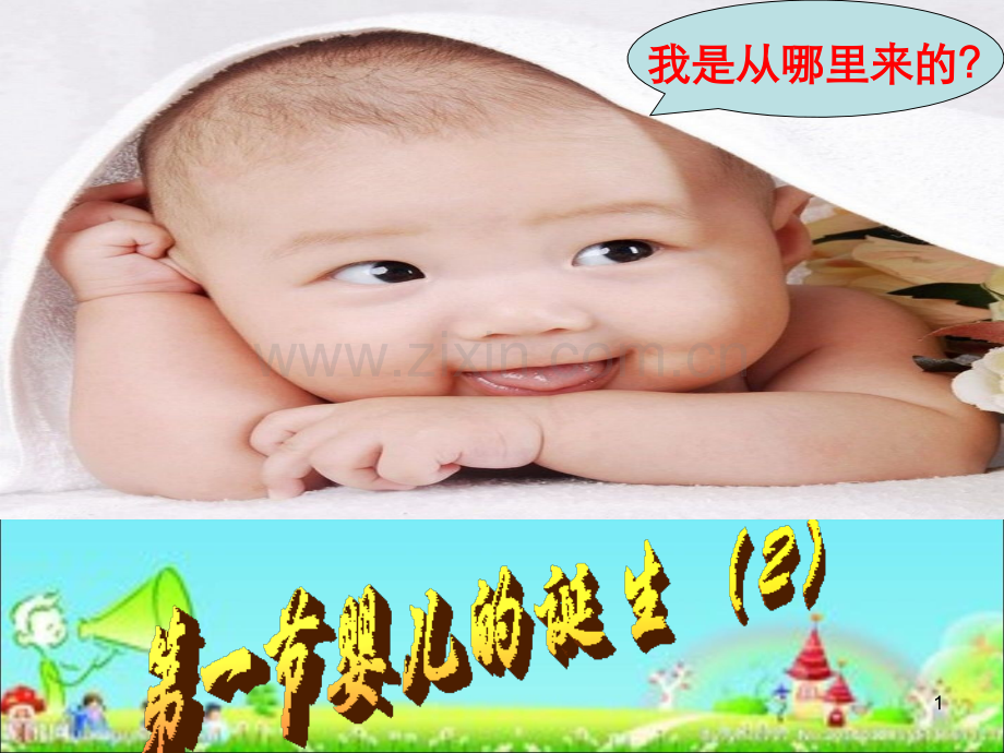 济南版婴儿的诞生.ppt_第1页