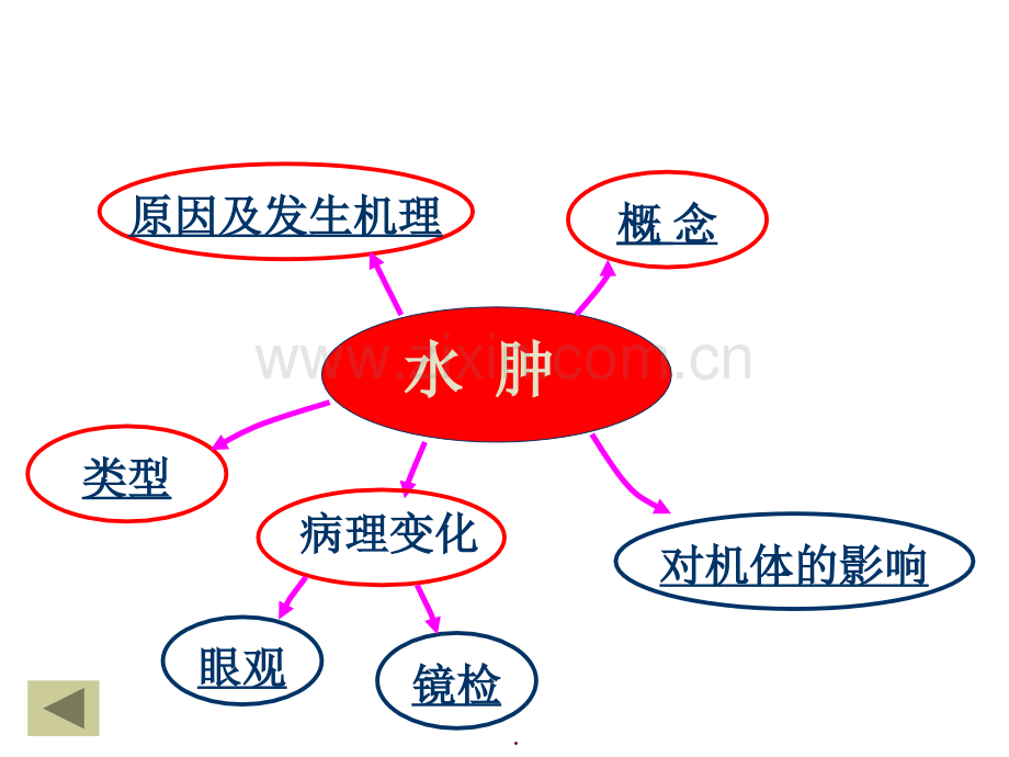 第三章水肿和脱水.ppt_第2页