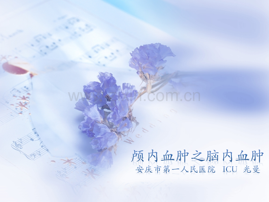 颅内血肿之脑内血肿.pptx_第1页