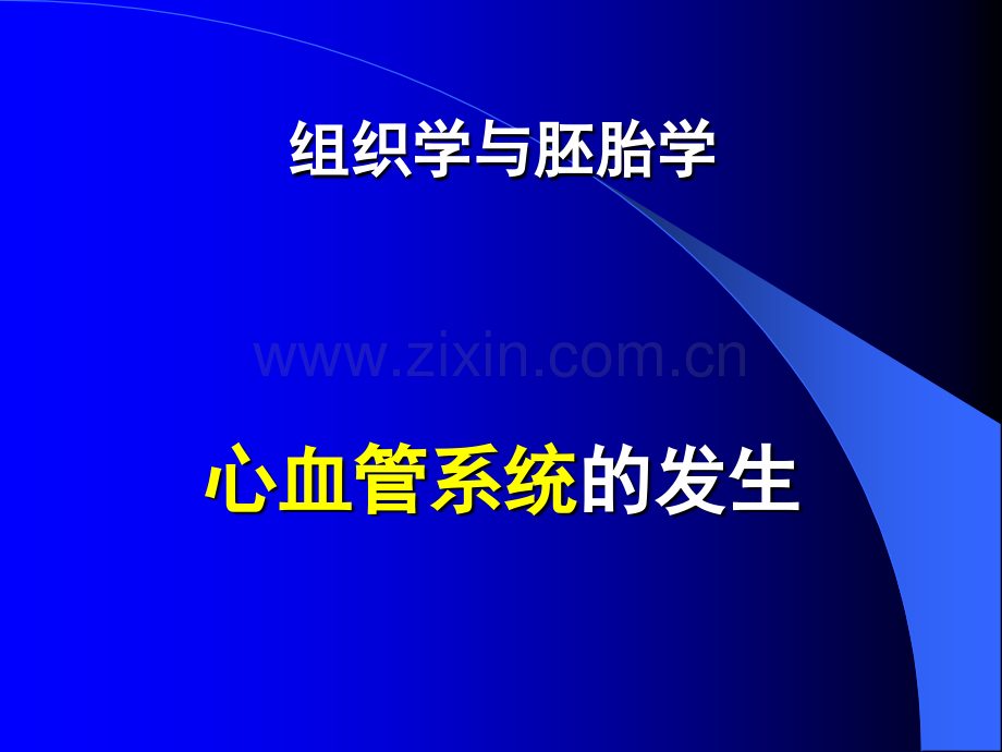 心血管胚胎学.ppt_第1页