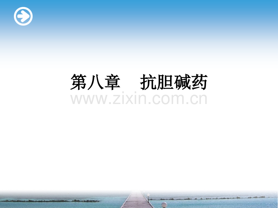 9第九章.拟肾上腺素药.ppt_第1页