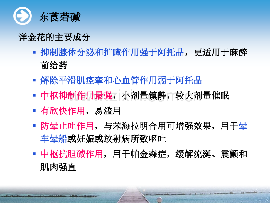 9第九章.拟肾上腺素药.ppt_第2页