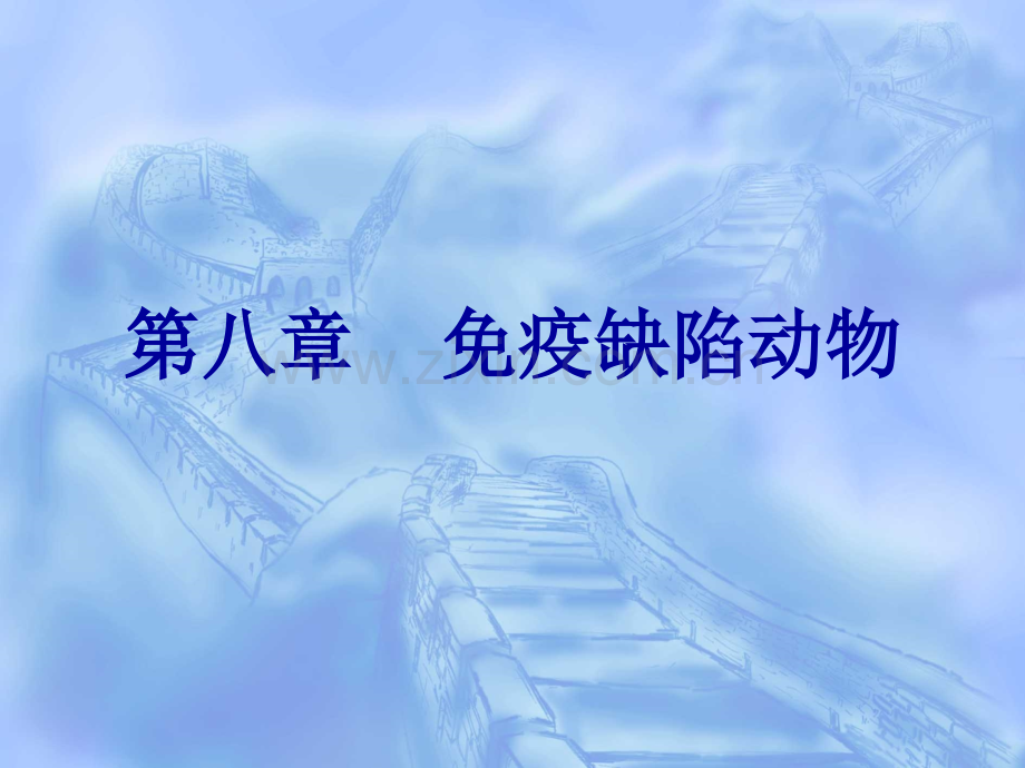 免疫缺陷动物.ppt_第1页