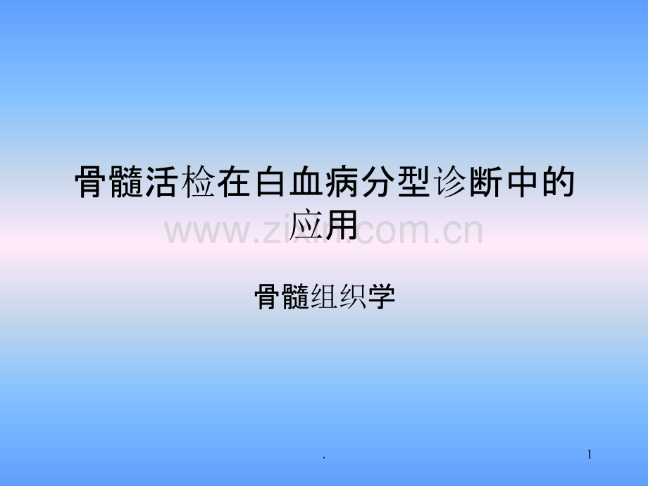 骨髓活检.ppt_第1页