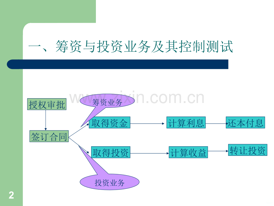 第十九章筹资与投资循环审计.ppt_第2页