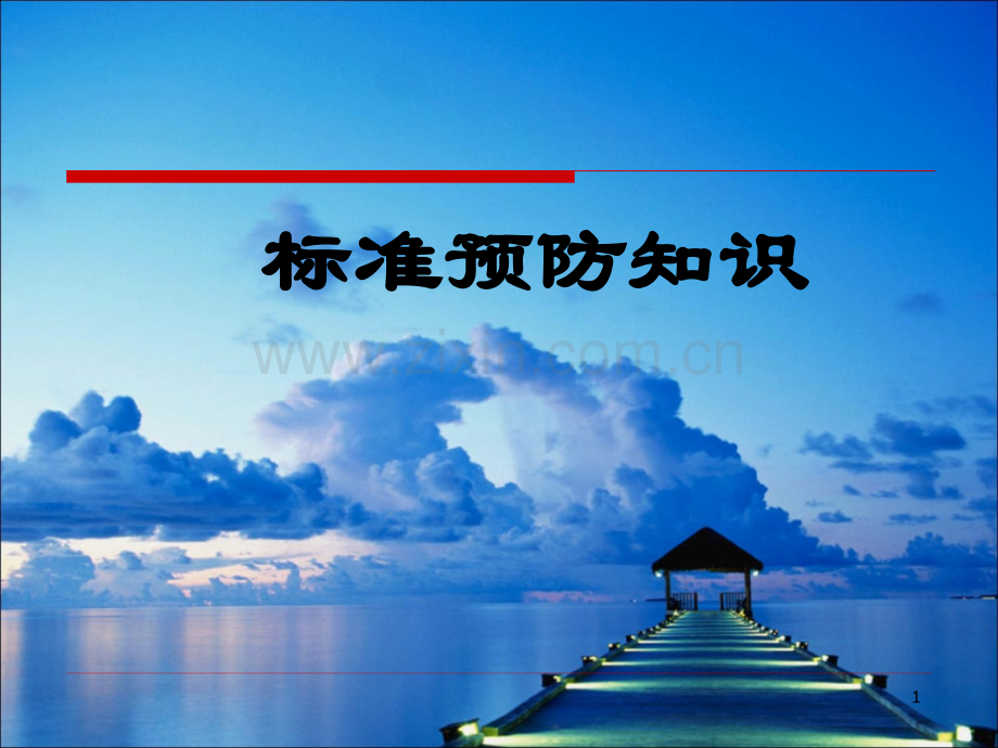 标准预防课件.ppt_第1页