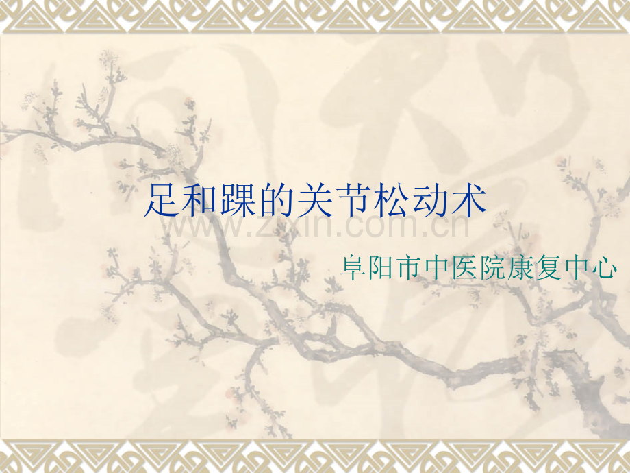 踝的关节松动术.ppt_第1页