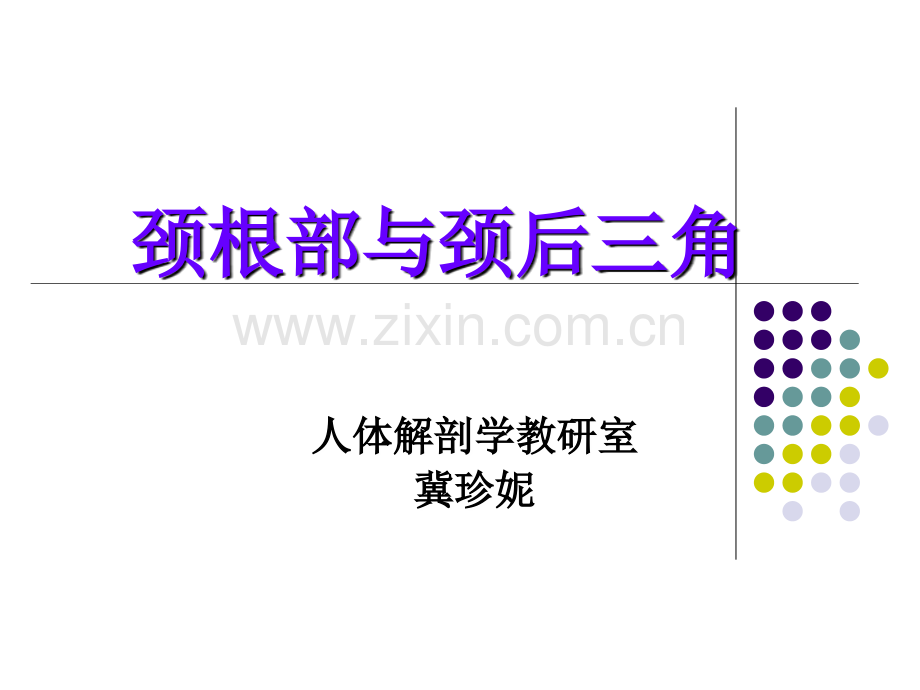 解剖之颈根与颈后三角.ppt_第1页