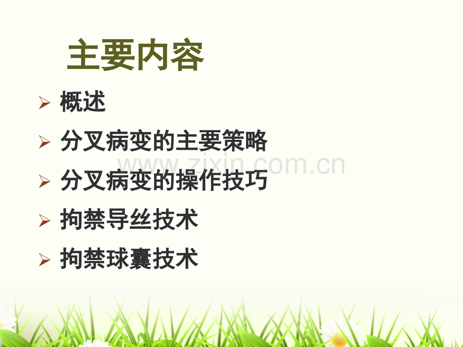 《边支球囊保护技术在分叉病变中的应用》.ppt_第2页