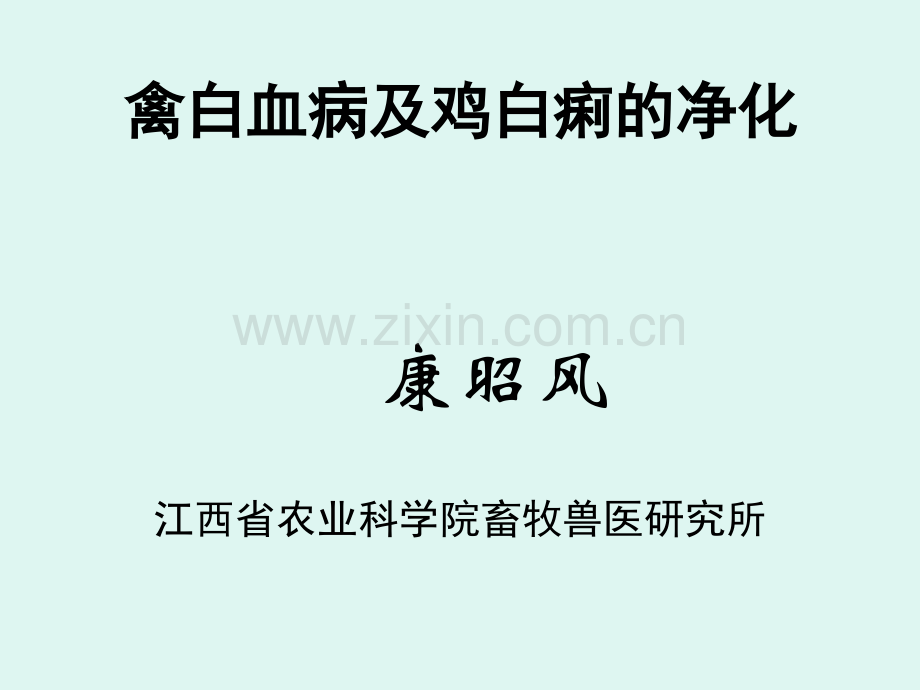 禽白血病及鸡白痢净化.ppt_第1页