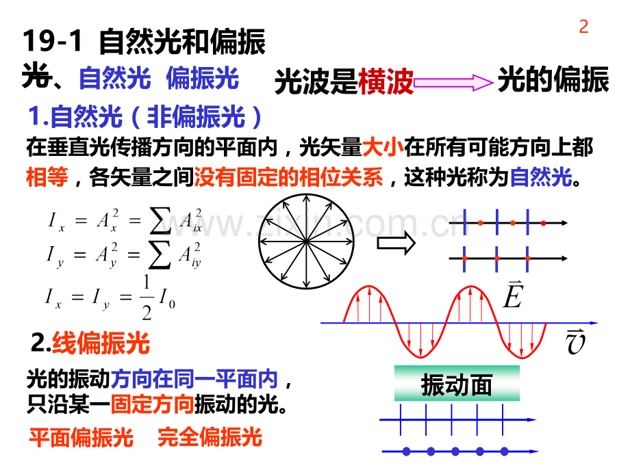 大学物理光的偏振.ppt_第2页