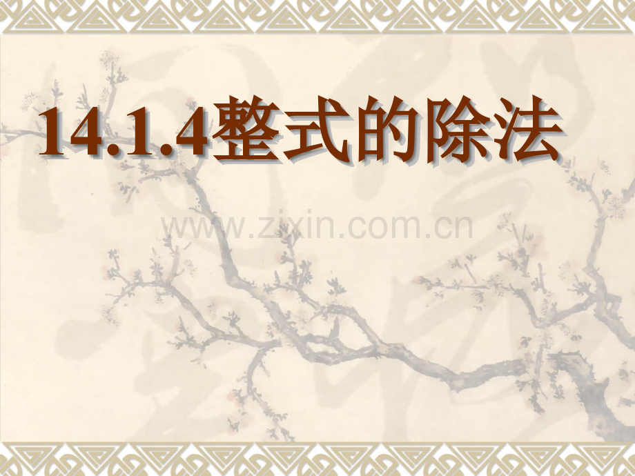 14.1.4整式的除法.ppt_第1页