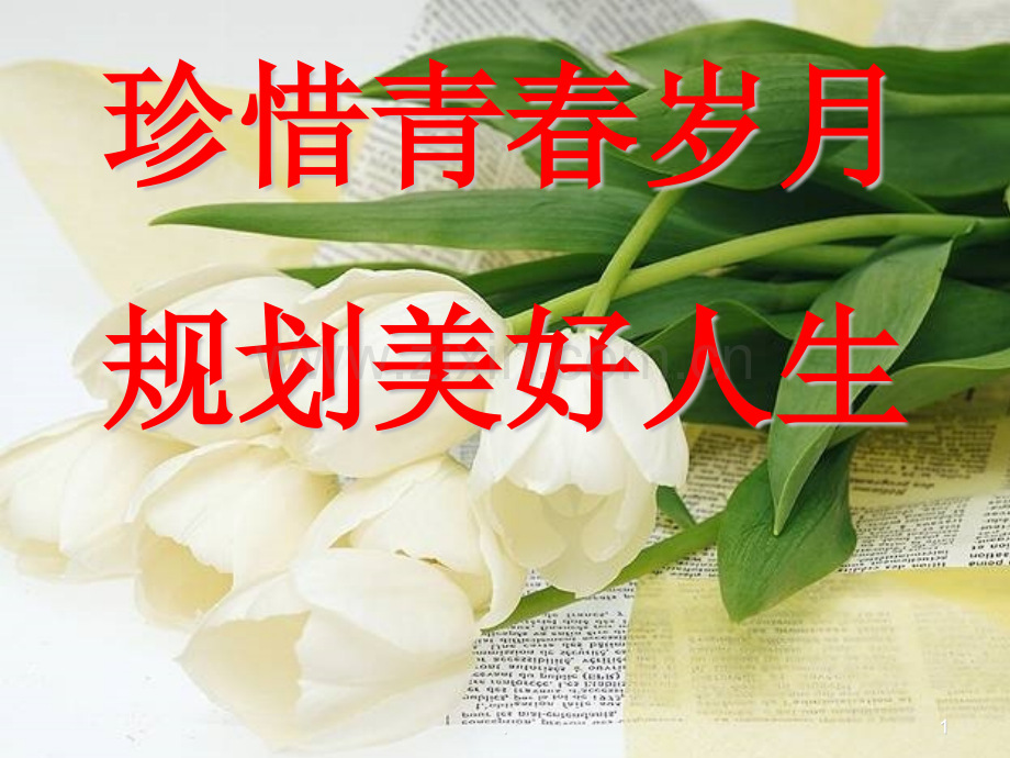 珍惜青春年华树立伟大理想.ppt_第1页