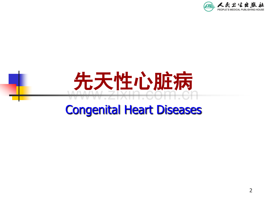 心血管系统-(1).ppt_第2页