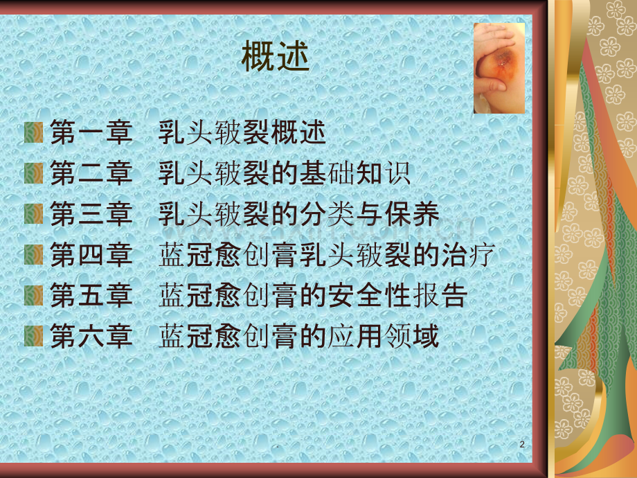 乳头皲裂的日常护-.ppt_第2页