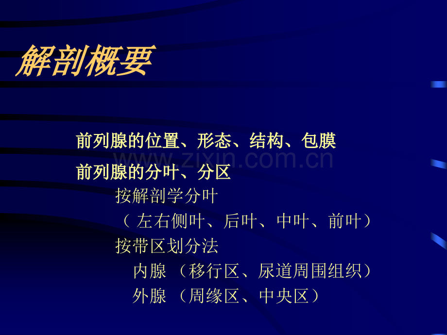前列腺超声诊断.ppt_第2页