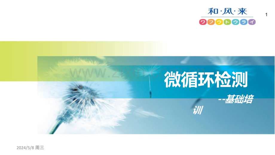 微循环检测流程步骤.ppt_第1页