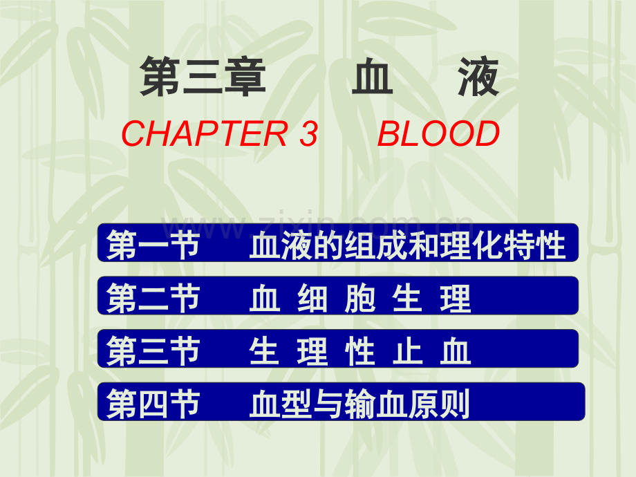 生理学第三章.ppt_第1页