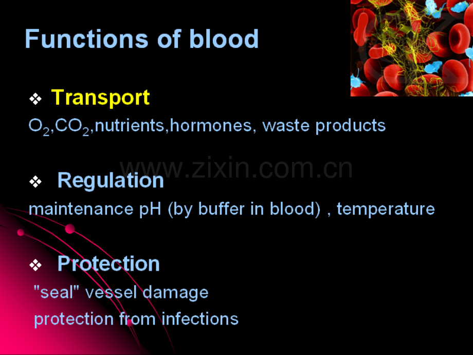 生理学第三章.ppt_第2页