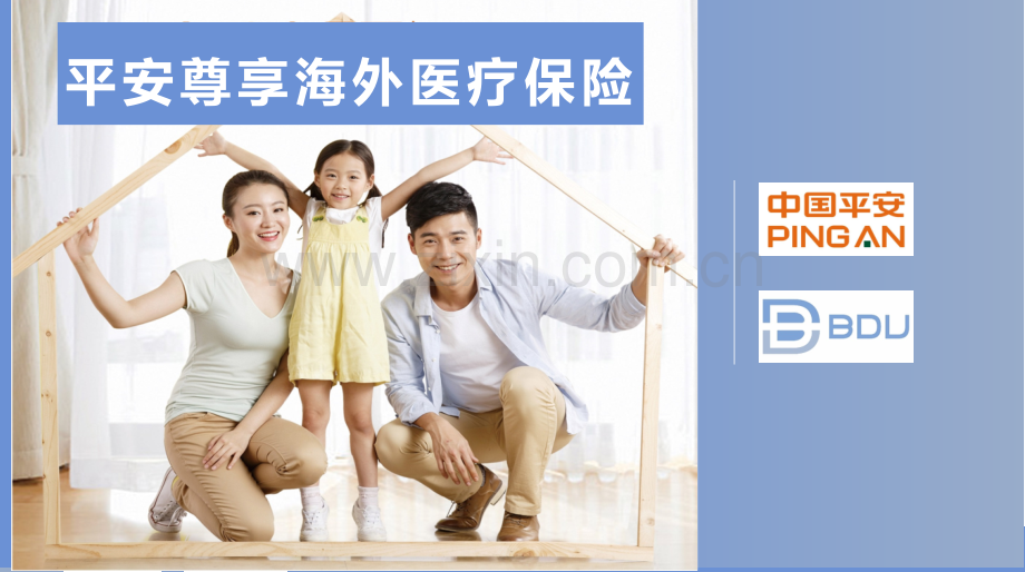 平安人寿海外医疗产品介绍.pptx_第1页