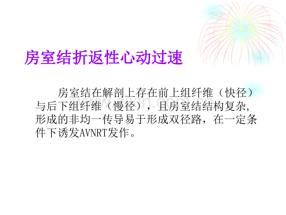 AVNRT-讲课.ppt_第2页