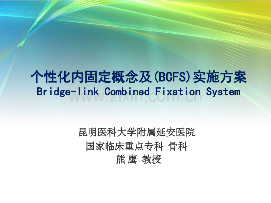 个性化内固定与桥接组系统.ppt_第1页