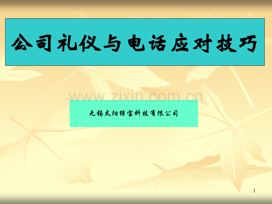 2019年整理5S之公司礼仪标准.ppt_第1页
