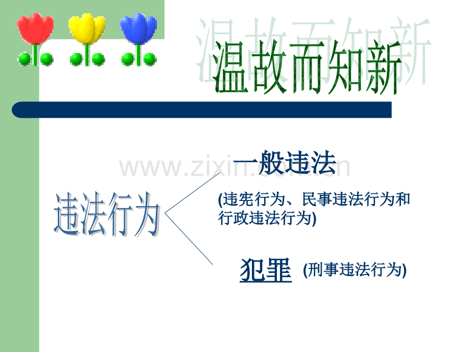 法律“雷池”不可越-法律常识.ppt_第2页