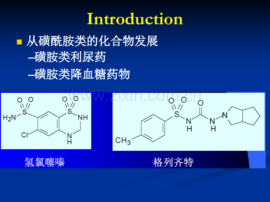 利尿药及口服降血糖药物.ppt_第2页