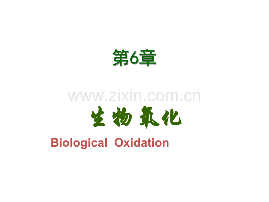 生物化学第06章生物氧化.ppt_第1页