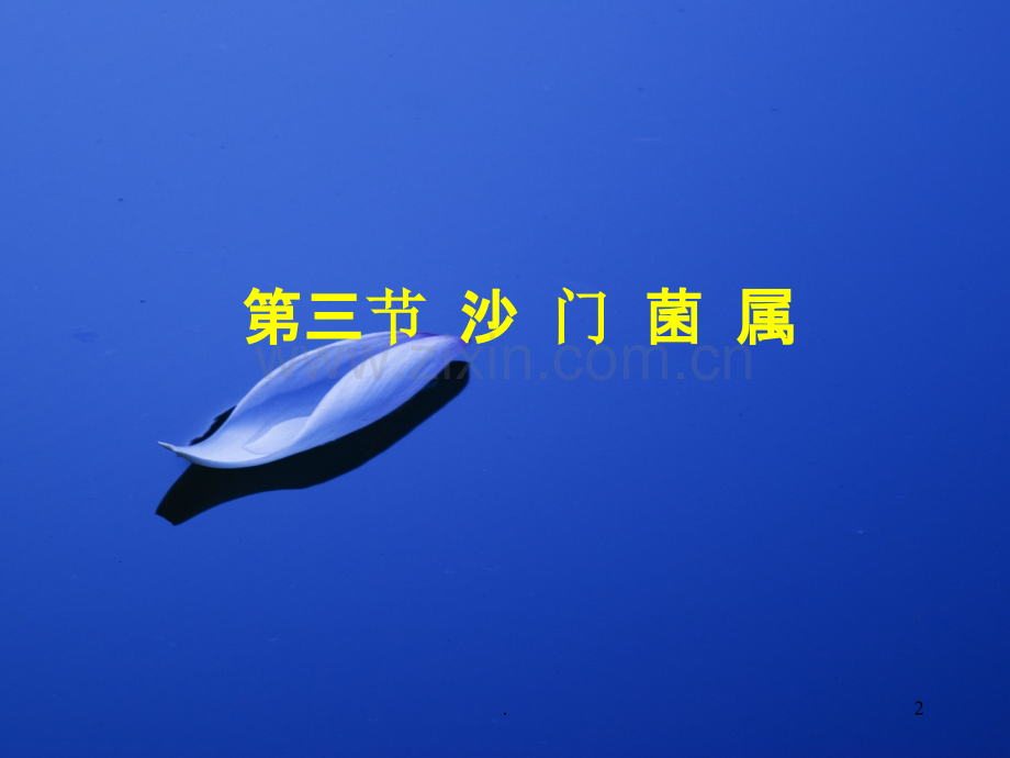 沙门菌属.ppt_第2页