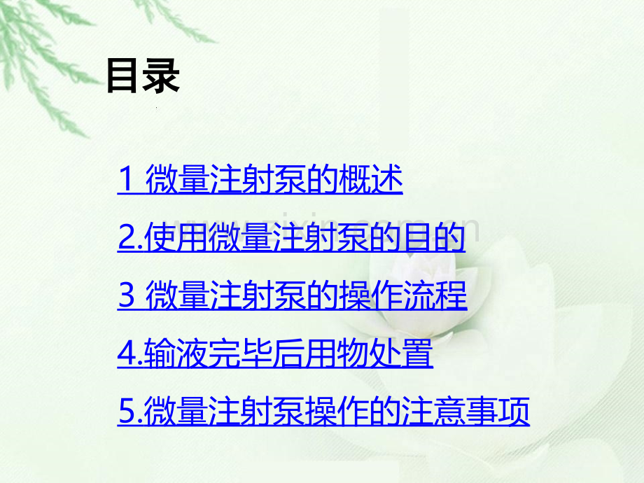 微量注射泵的使用技术.pptx_第2页