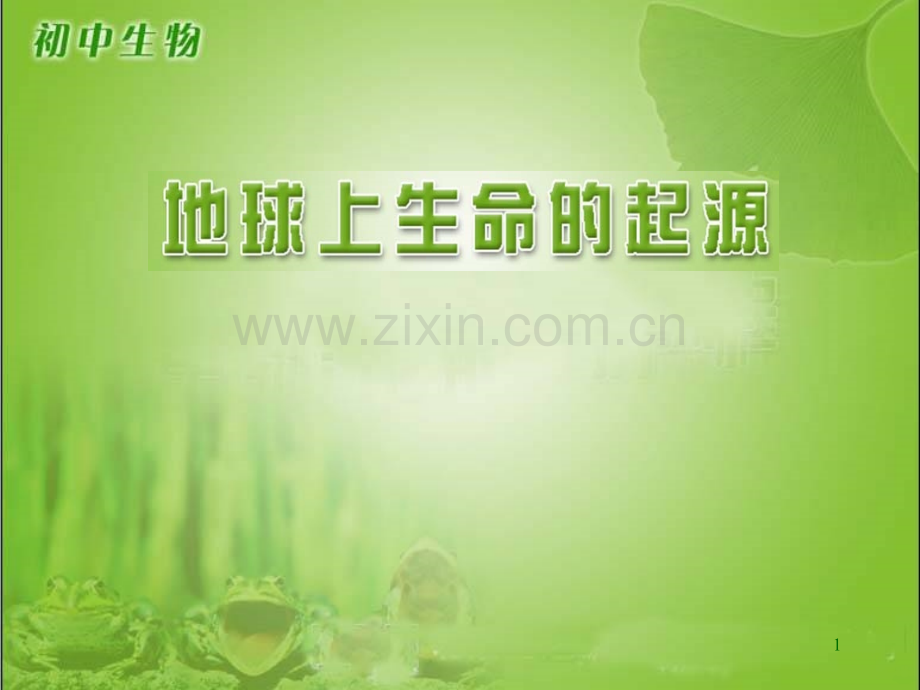 地球上生命起源.ppt_第1页