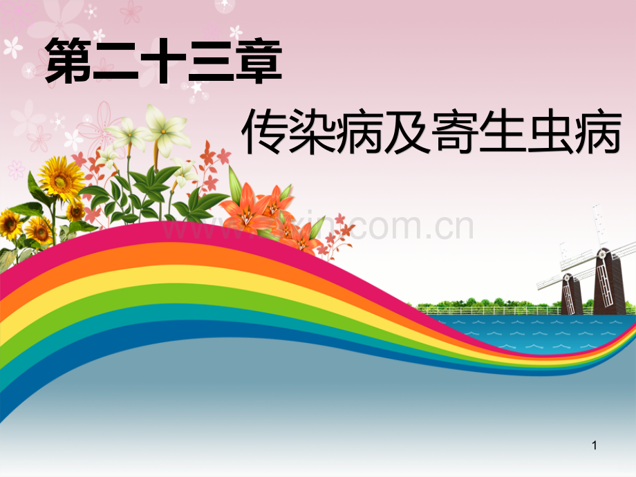 传染病及寄生虫病.ppt_第1页
