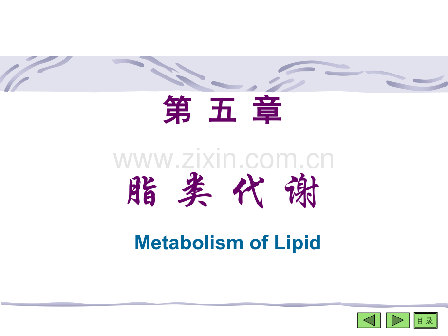 生物化学第五章脂类代谢.ppt_第1页
