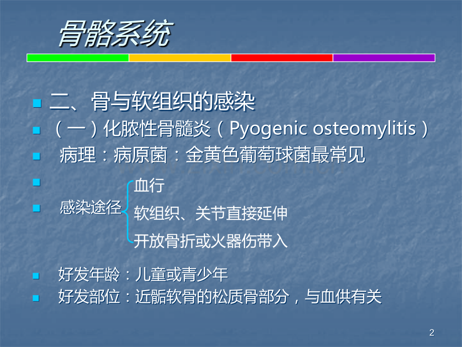 骨骼肌肉疾病.ppt_第2页