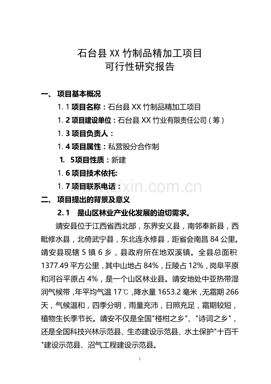 石台县XX竹制品精加工项目可行性研究报告.doc_第1页