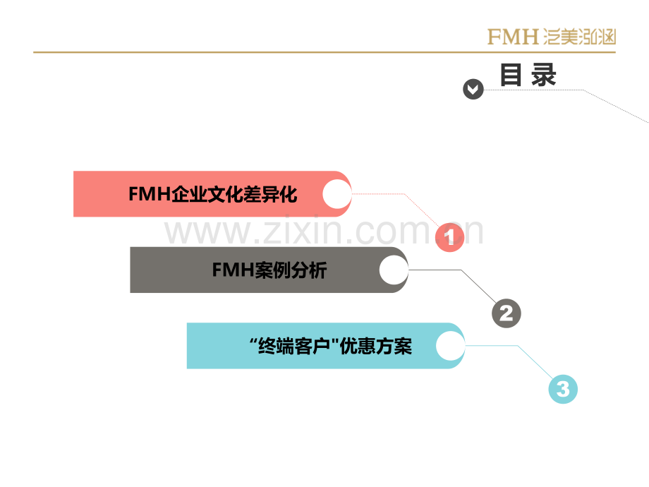 泛美泓涵医学美容核心项目讲解.ppt_第2页