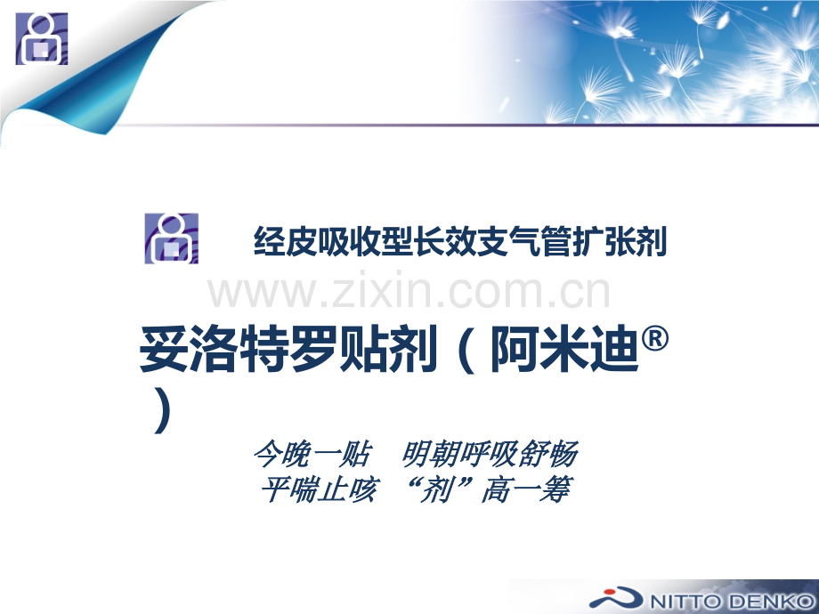 产品说明(阿米迪).ppt_第1页