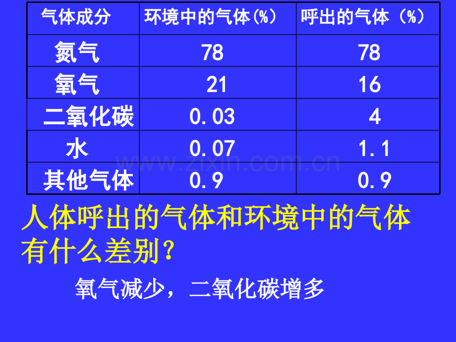 发生在肺内的气体交换一时.ppt_第2页