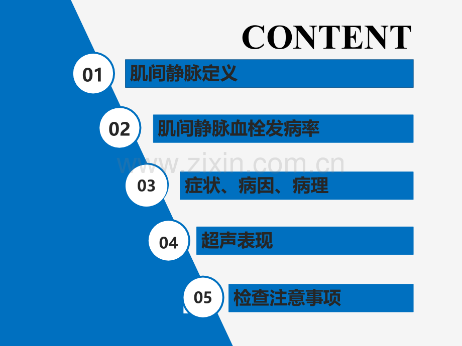 肌间静脉.ppt_第2页