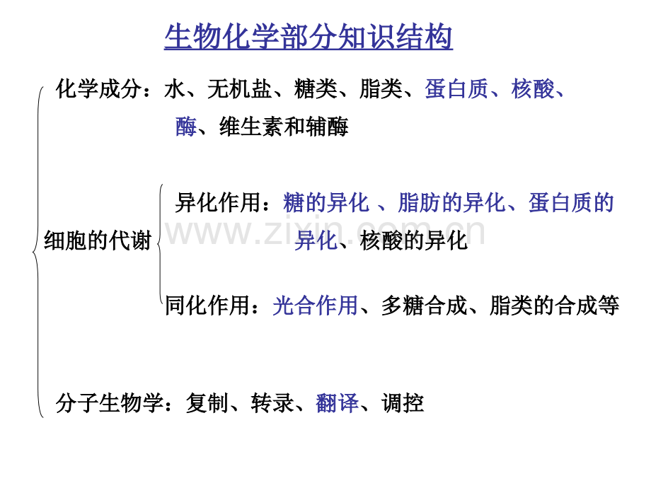 奥赛辅导蛋白质.ppt_第1页