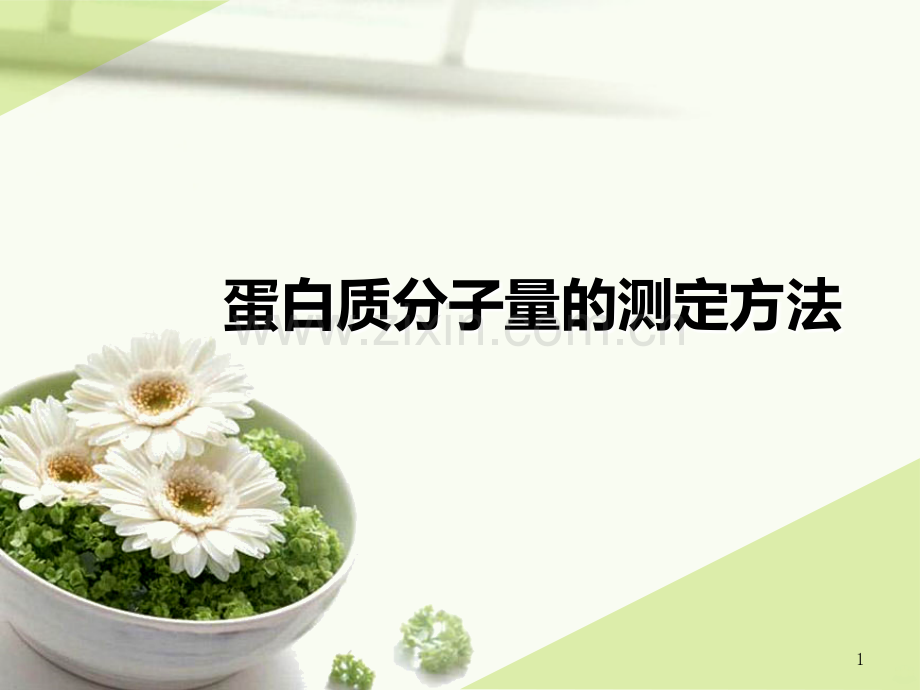 蛋白质分子量的测定方法.ppt_第1页