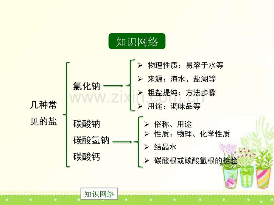 几种常见的盐.ppt_第2页